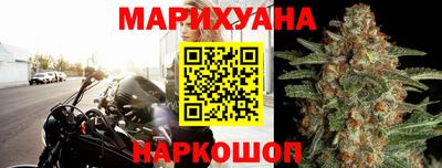 гидра Рязань