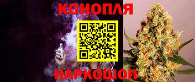 гидра Рязань
