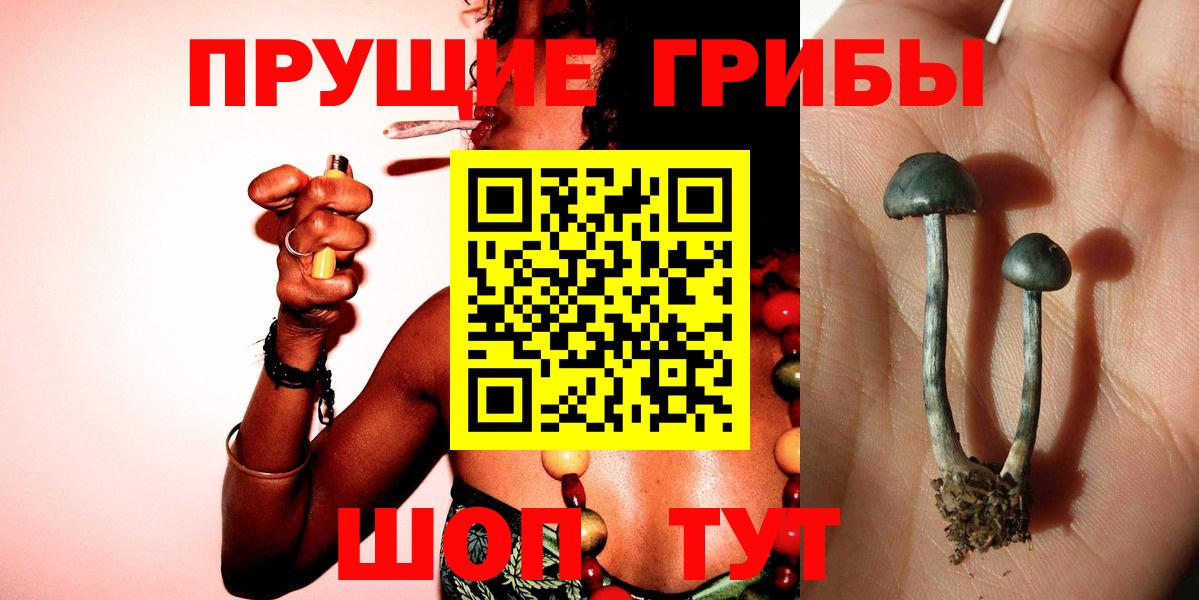 Галлюциногенные грибы прущие грибы Ревда